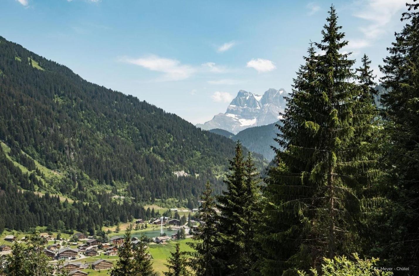 Toison Blanche Tba3 Cosy & Mountain 4 Pers Apartment Chatel Bagian luar foto