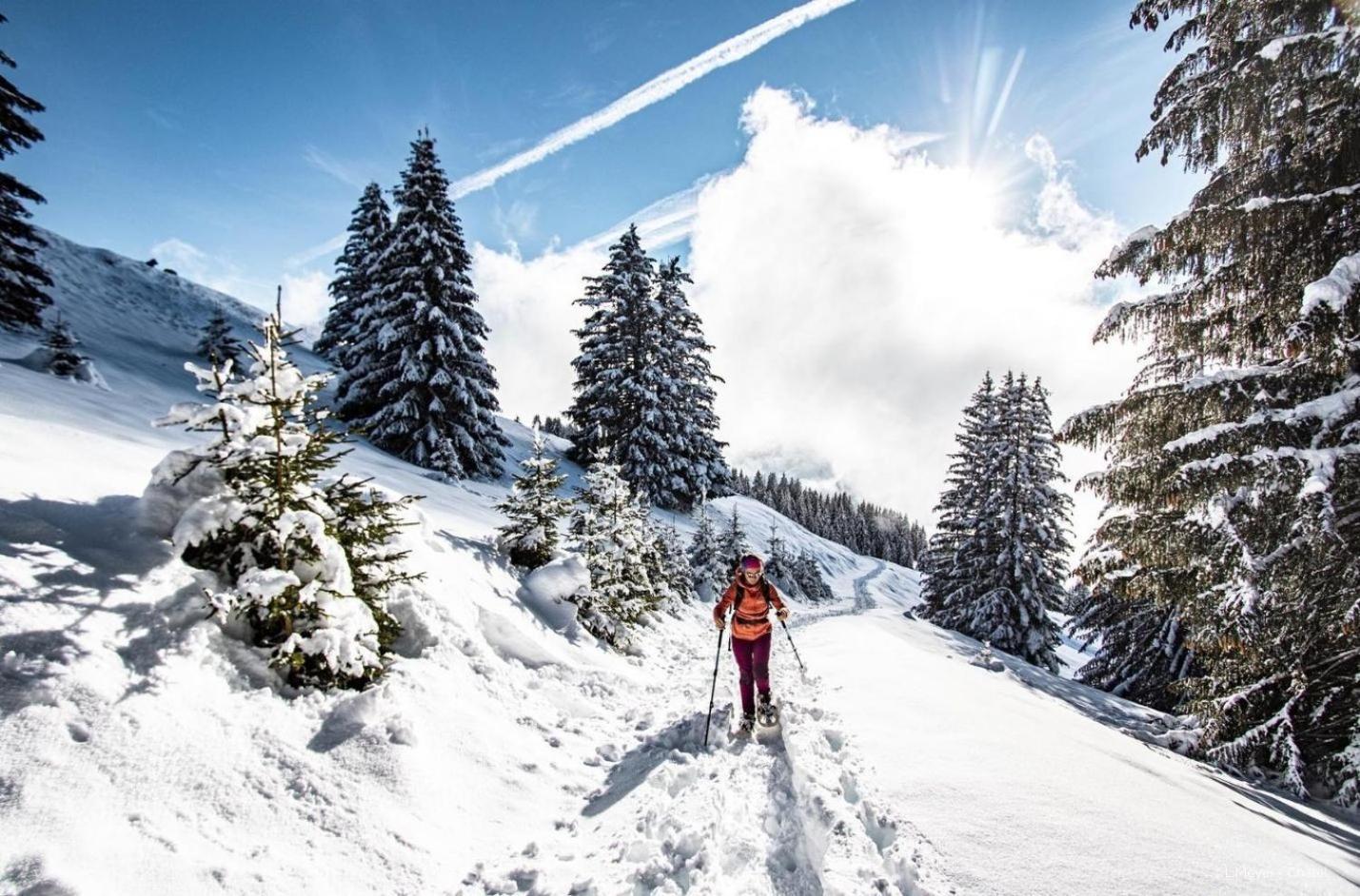 Toison Blanche Tba3 Cosy & Mountain 4 Pers Apartment Chatel Bagian luar foto