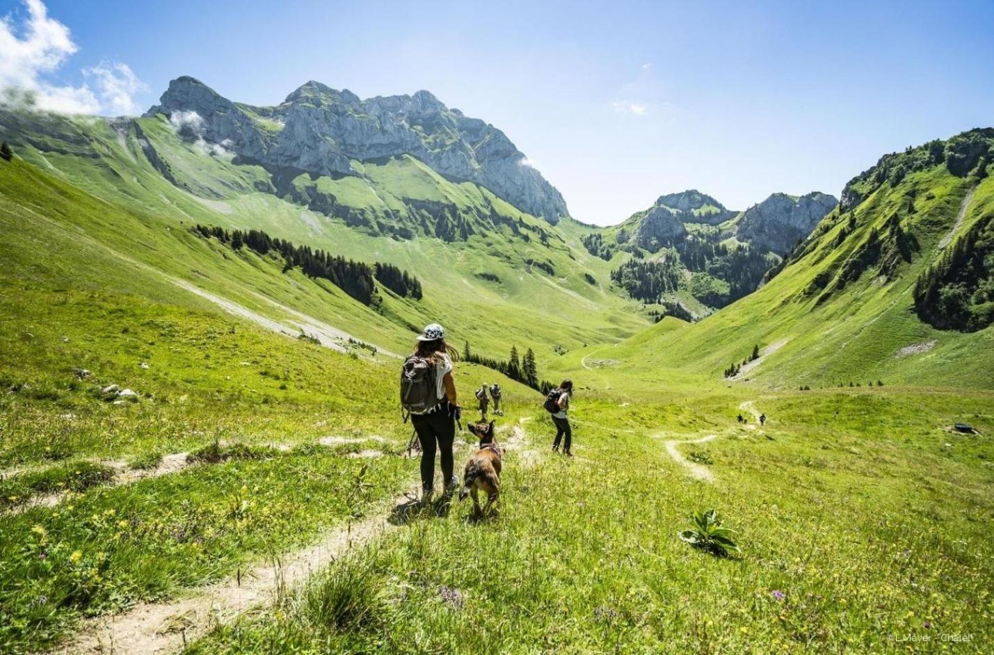 Toison Blanche Tba3 Cosy & Mountain 4 Pers Apartment Chatel Bagian luar foto